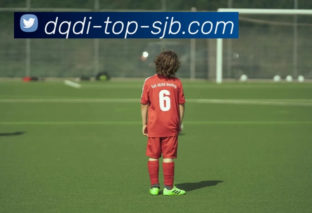 懂球帝，懂球帝官网，懂球帝官方网站，懂球帝入口，懂球帝APP平台生态图