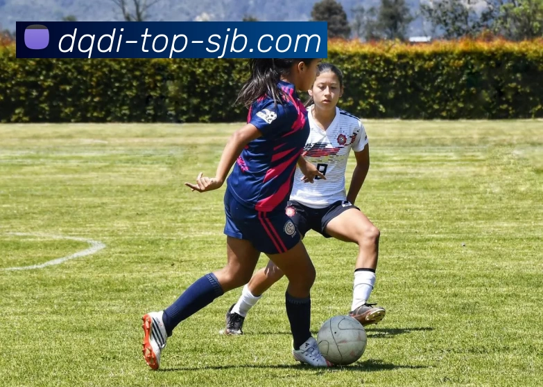 懂球帝，懂球帝官网，懂球帝官方网站，懂球帝入口，懂球帝APP全站App